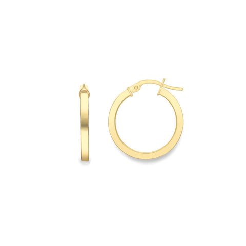 9ct Gold Hoop Earrings complete with presentation box