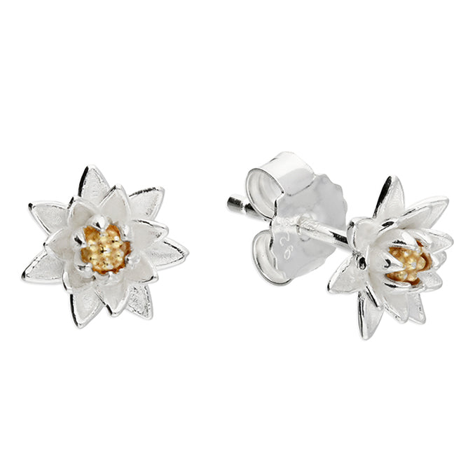 Silver plain stud earrings complete with presentation box