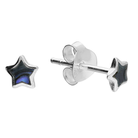 Silver Paua Shell stud earrings complete with presentation box