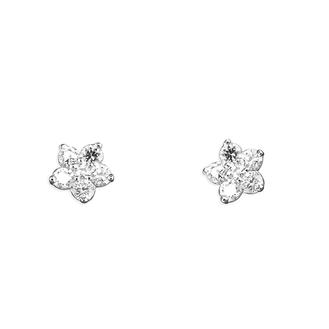 Silver Cubic Zirconia stud earrings complete with presentation box