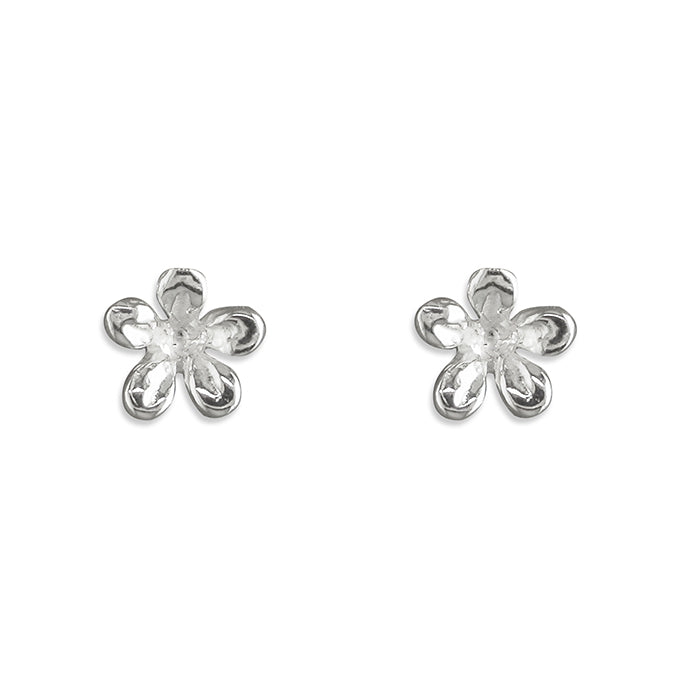 Silver plain stud earrings complete with presentation box