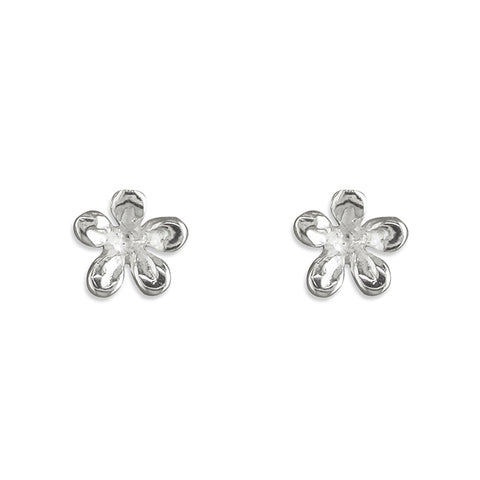Silver plain stud earrings complete with presentation box