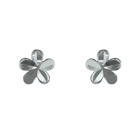 Silver Flower stud earrings complete with presentation box