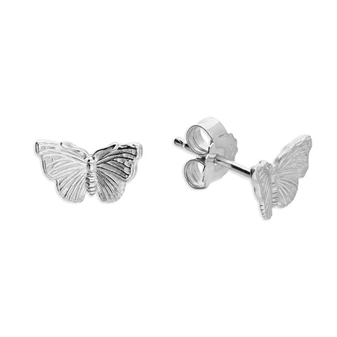 Silver butterfly stud earrings complete with presentation box